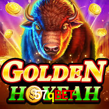 57qbet App Interface